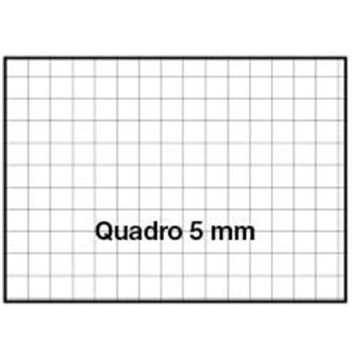 Quaderno A5 Blasetti Color Club 70FF.+1 Spiralato in PPL cf. 6 pz.